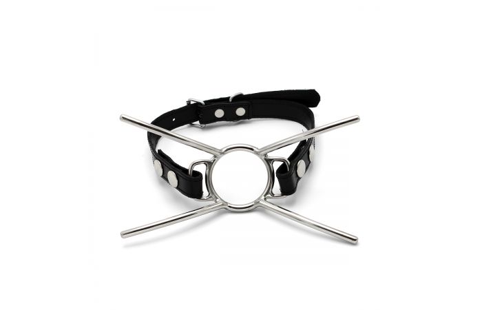 Cat Mouth Gag