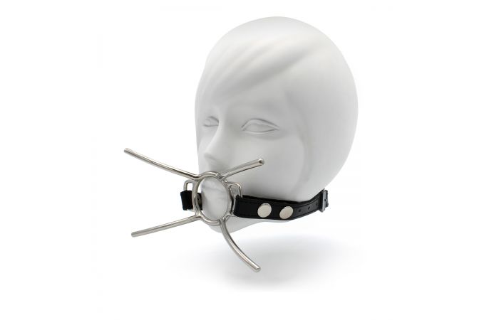 Cat Mouth Gag - Afbeelding 5