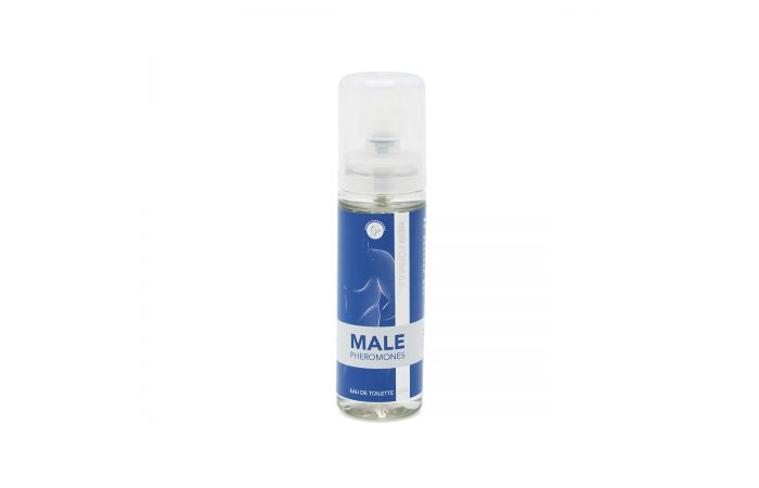 CP Male Pheromones 20ml - Afbeelding 2