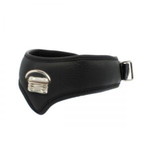 Collar with Leash