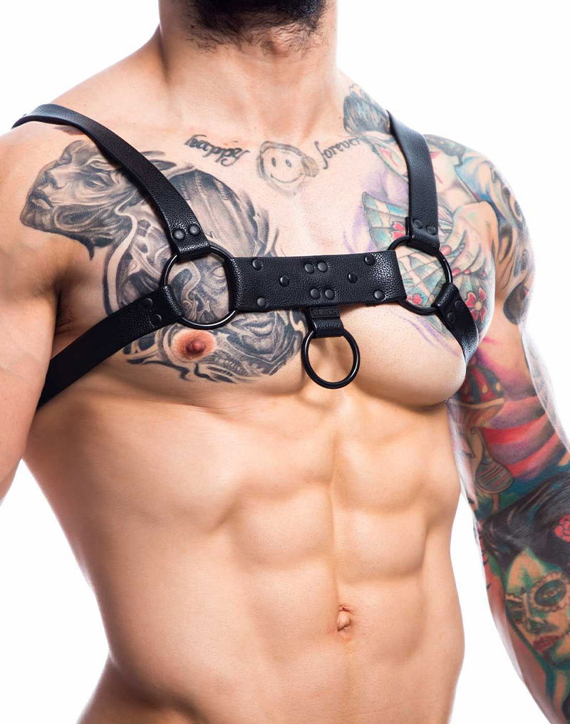 H4RNESS by C4M - Party Harness - Zwart - Afbeelding 2
