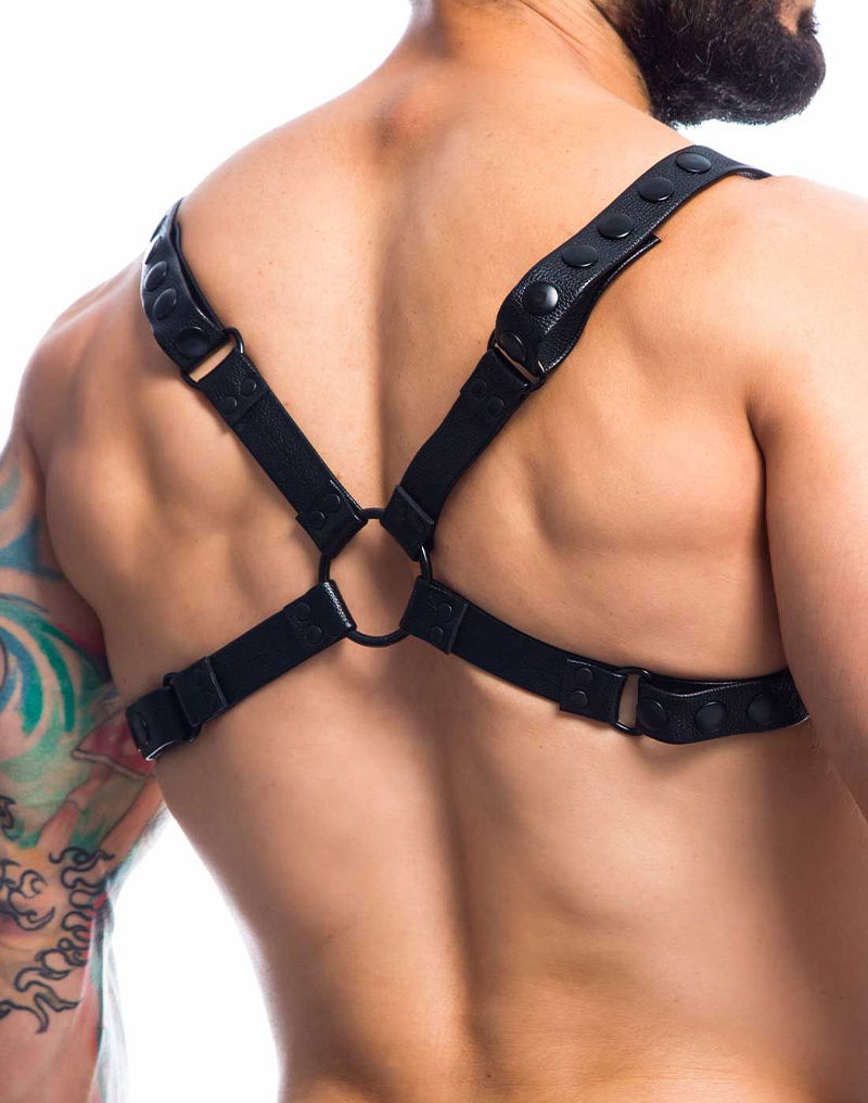 H4RNESS by C4M - Party Harness - Zwart - Afbeelding 3