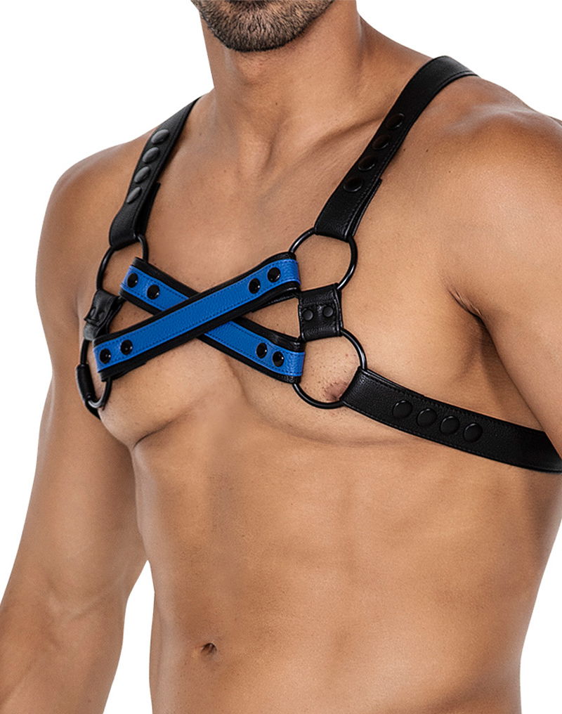 H4RNESS by C4M - 4WAY Harnas - Stralend Blauw - Afbeelding 5
