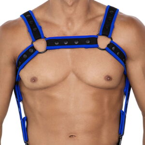 H4RNESS by C4M – NEO – Harnas – Electric Blue