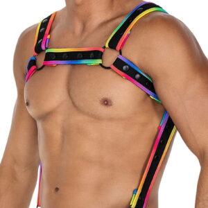 H4RNESS by C4M – NEO – Harnas – Multicolor