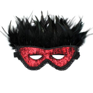 Luxe oogmasker met veren