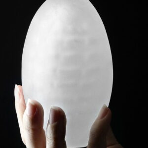 LoveToy Giant Egg Masturbatie Ei Paars