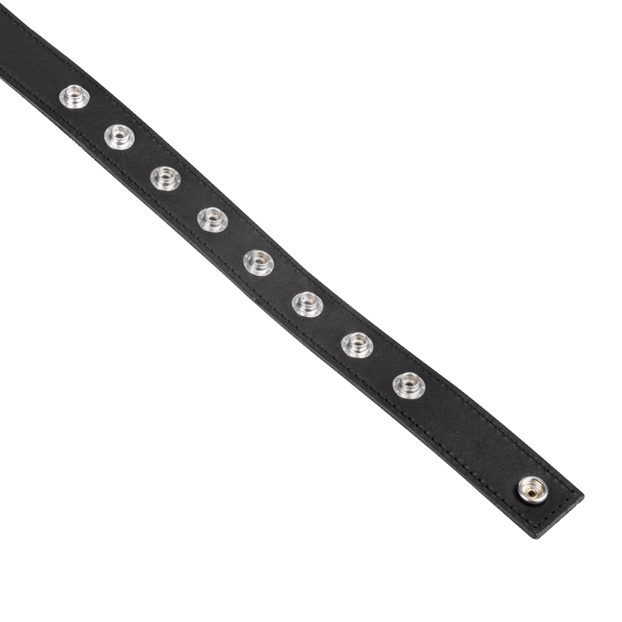 Rimba - Strip string - Afbeelding 5